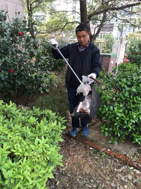 控制鼠害、預(yù)防疾病，構(gòu)建和諧文明社區(qū)